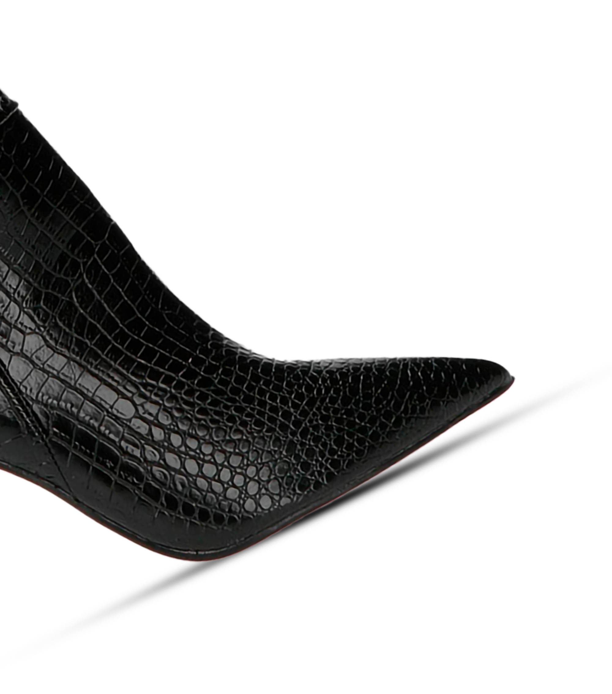 ADRIA REPTIL