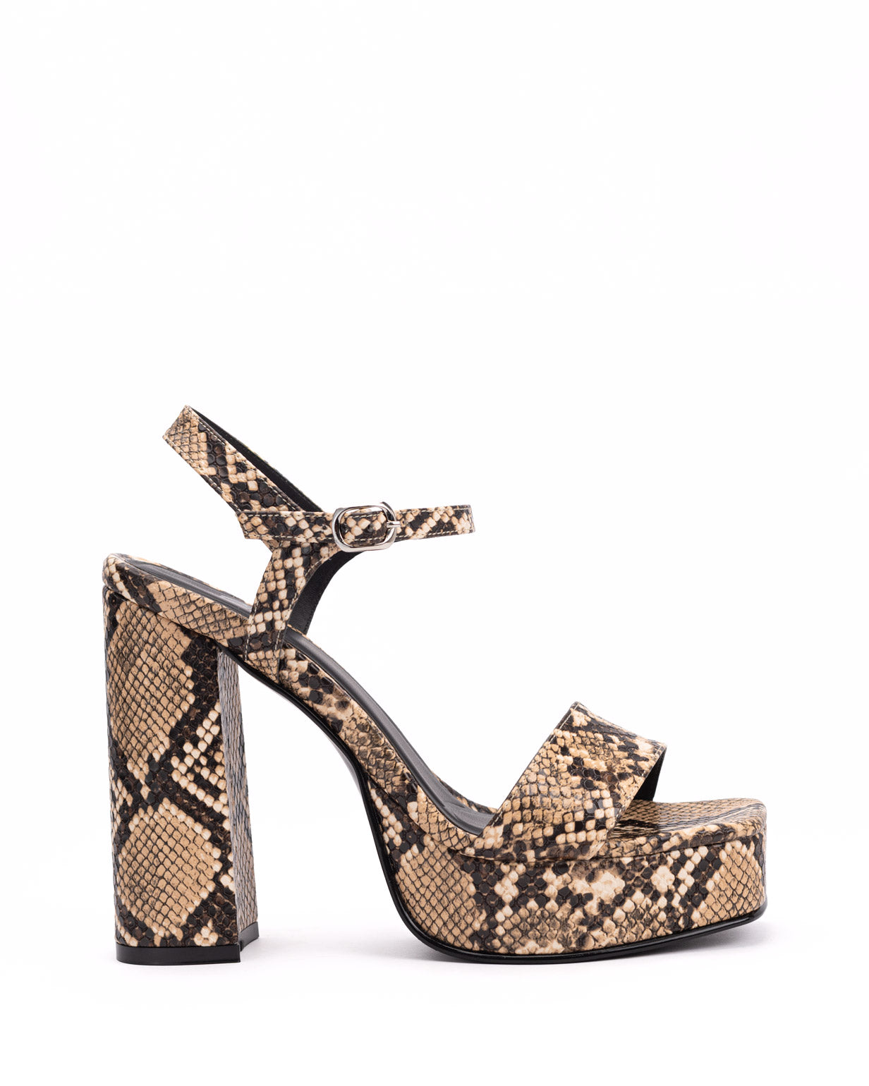 GRETCHEN-REPTIL.jpg