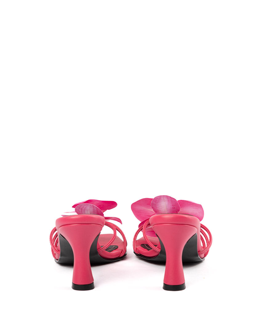 JELANI-FUCSIA-3.jpg