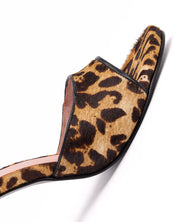KATE LEOPARDO