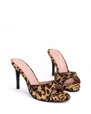 KATE LEOPARDO