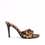 KATE LEOPARDO