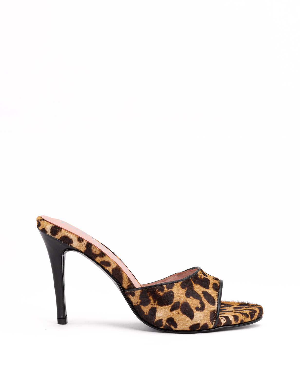 KATE LEOPARDO