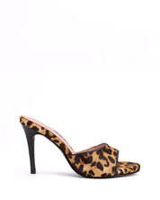 KATE LEOPARDO