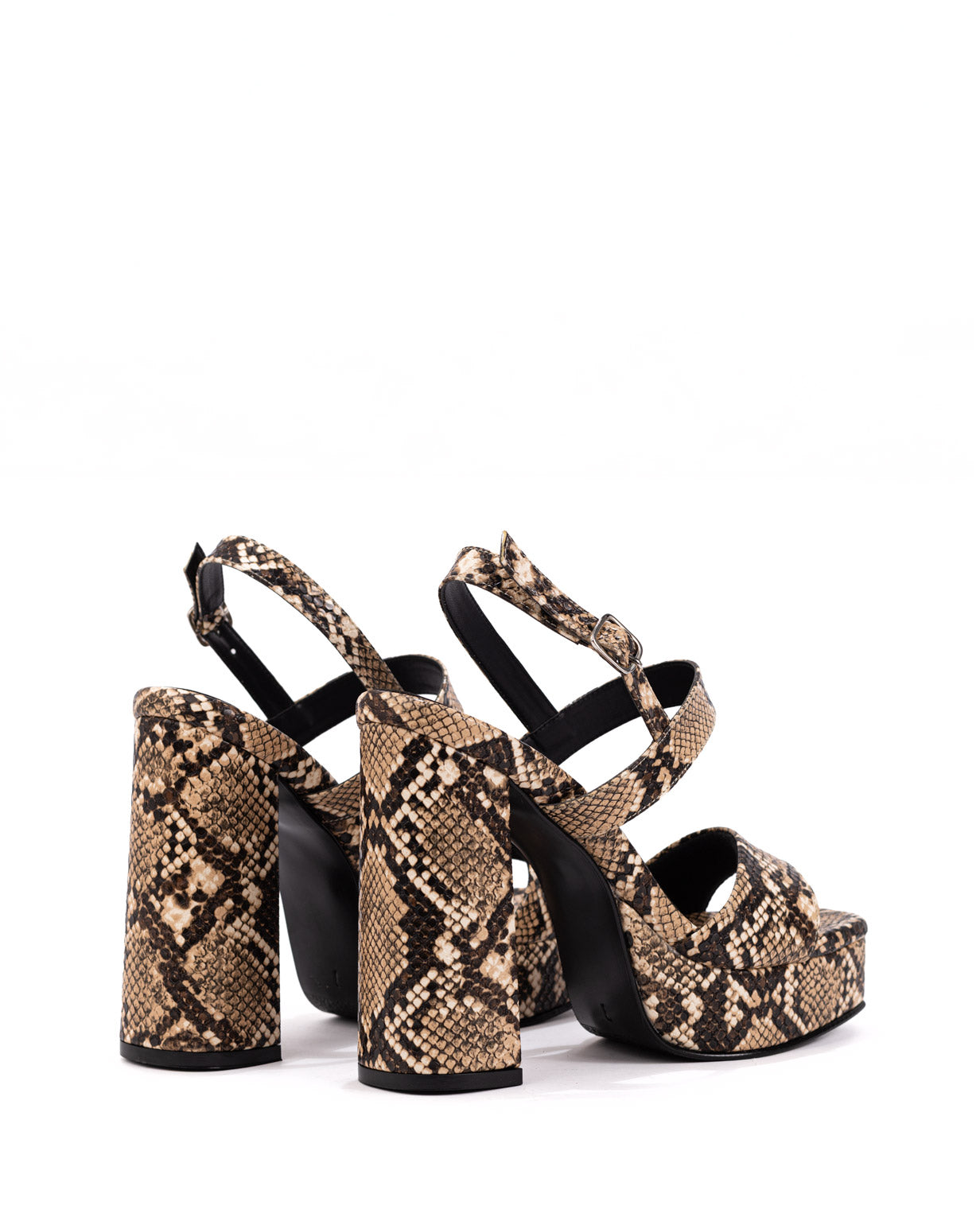 PATRIZIA-REPTIL-2.jpg
