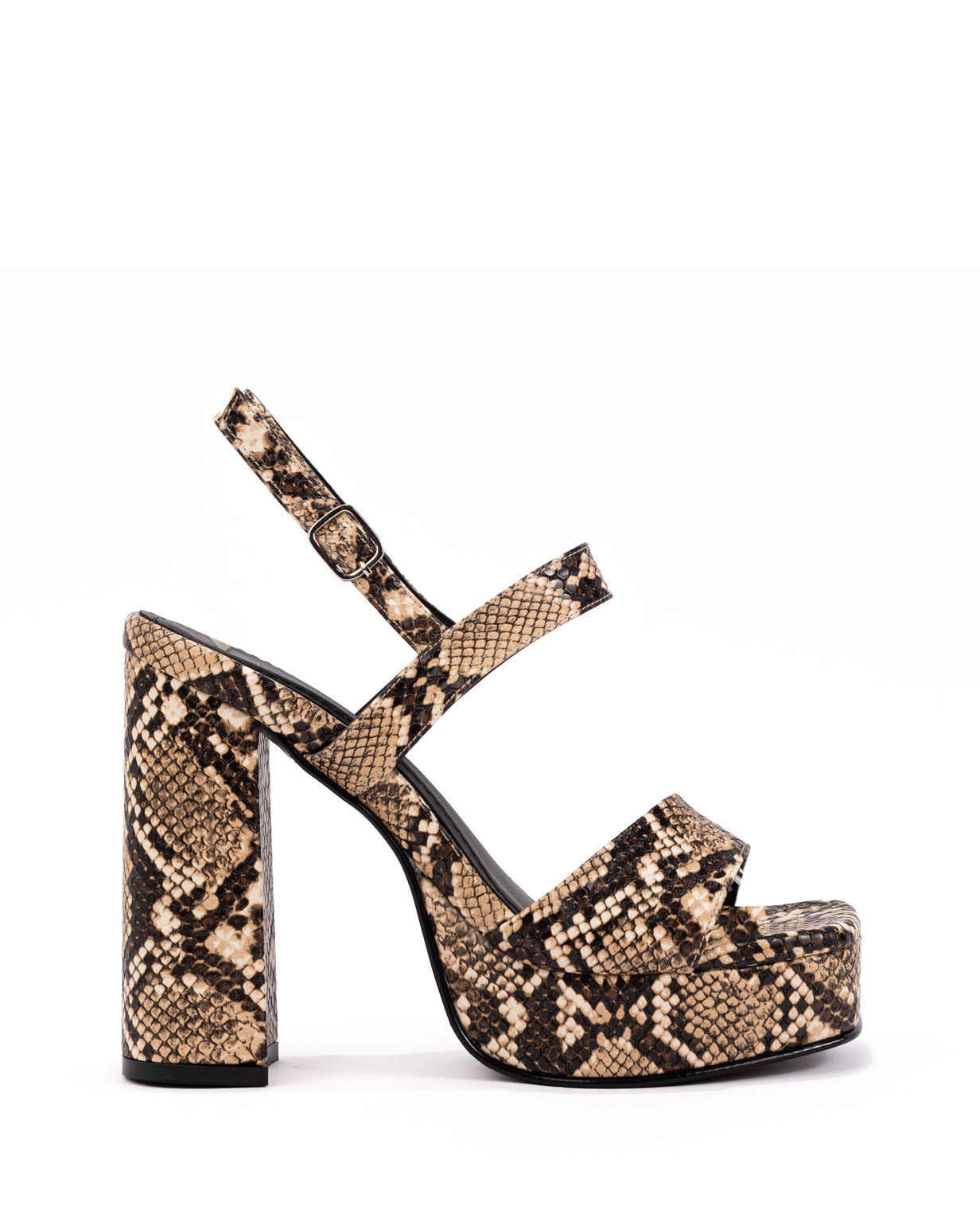 PATRIZIA-REPTIL.jpg