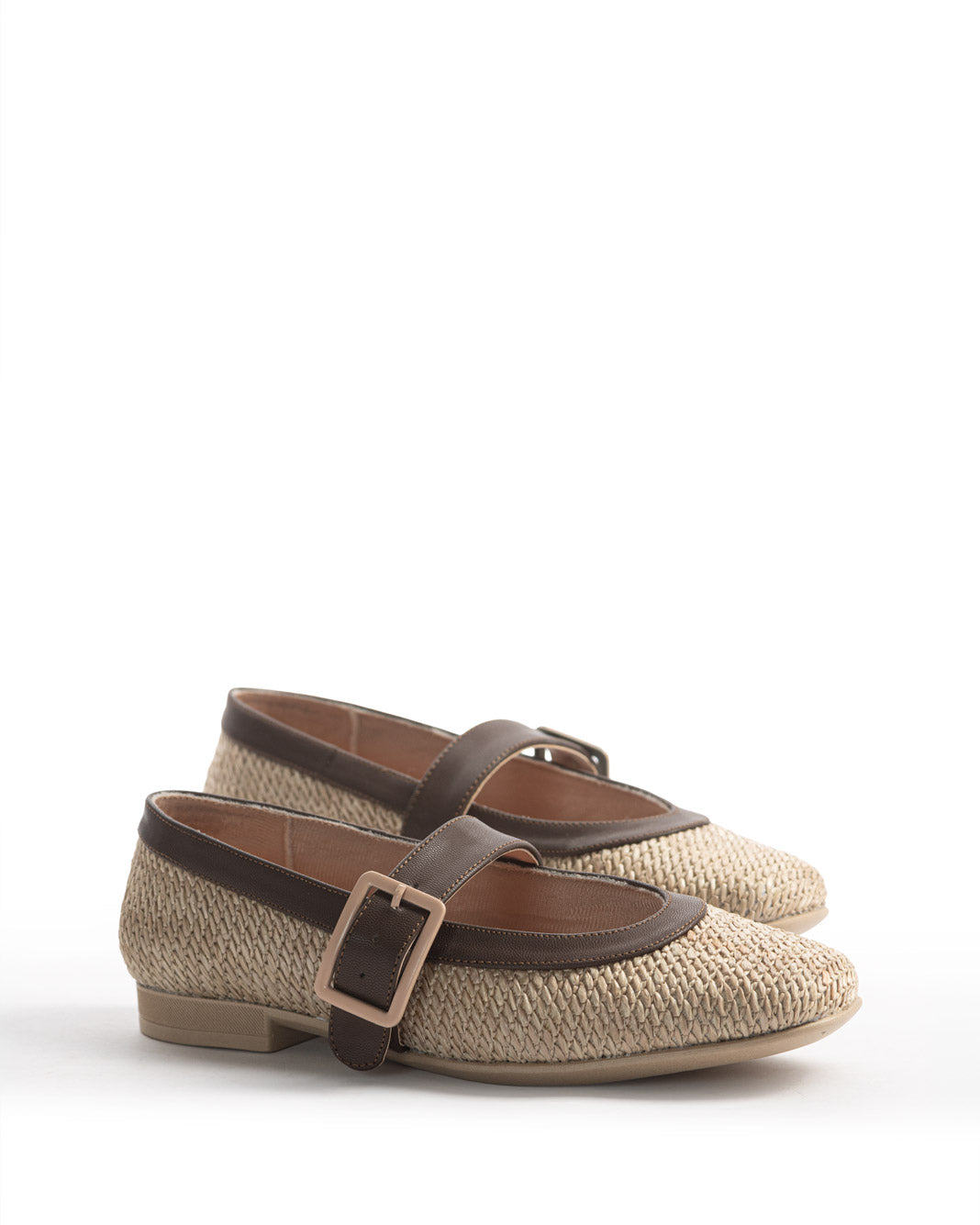 SOPHY-CAMELLO-1.jpg